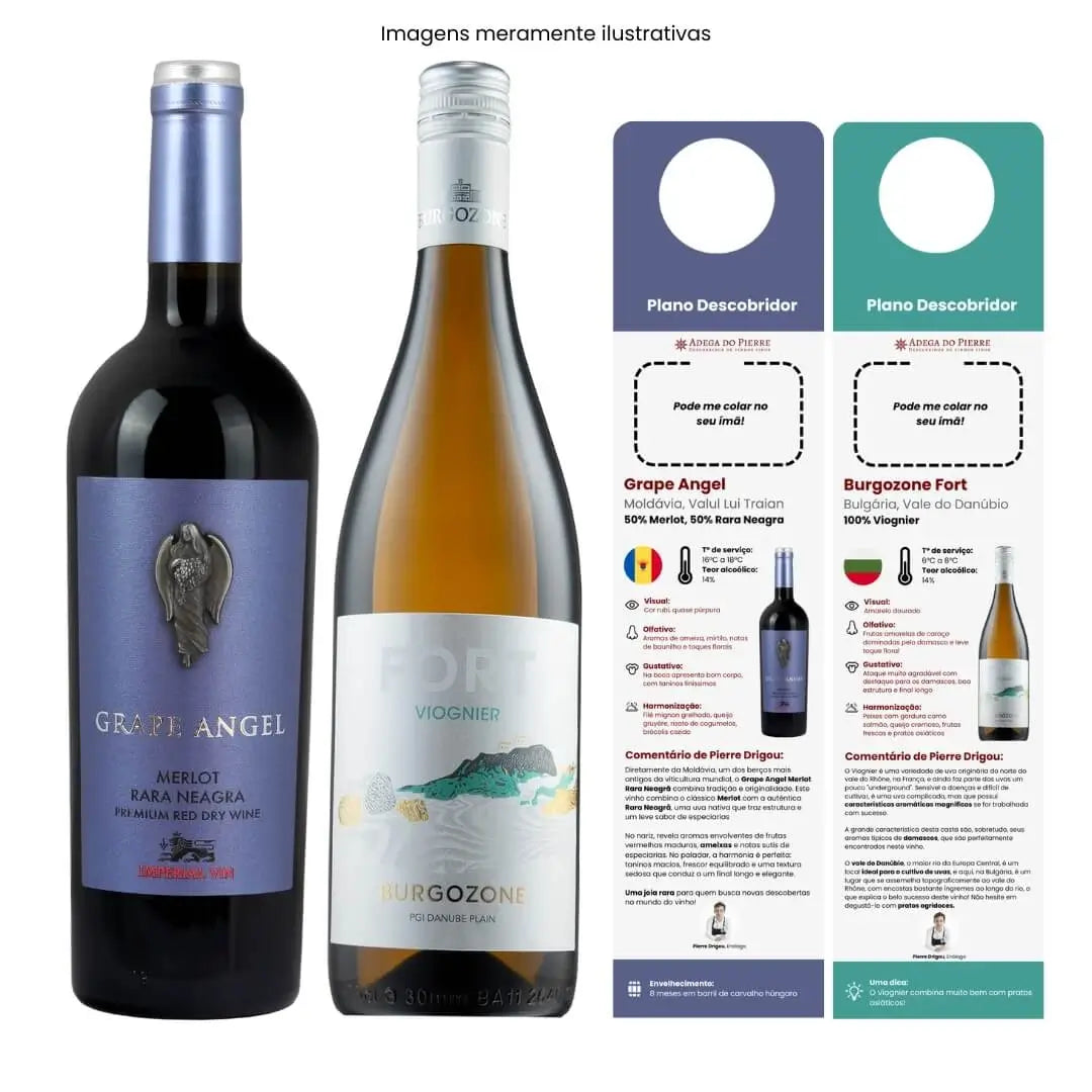 Presente Assinatura de Vinhos Descobridor