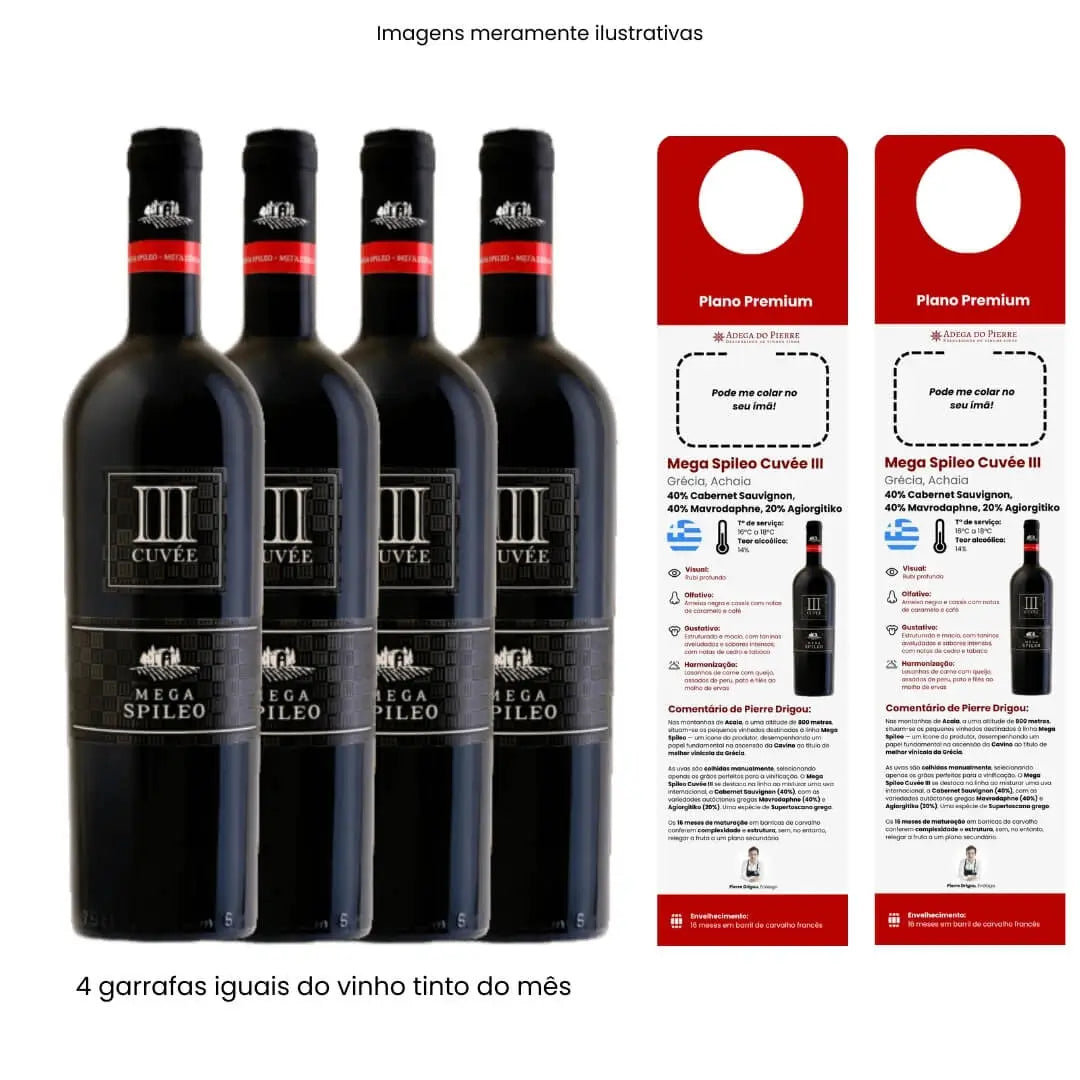 Assinatura Premium 4 Garrafas Tinto