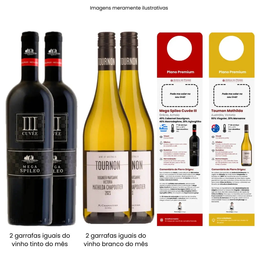 Assinatura Premium 4 Garrafas Tinto e Branco