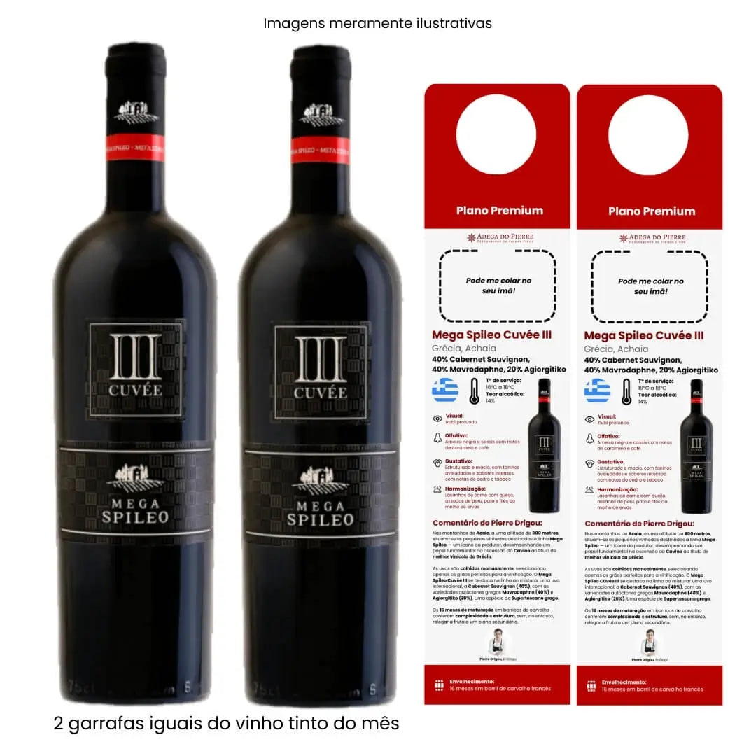 Assinatura Premium 2 Garrafas Tinto