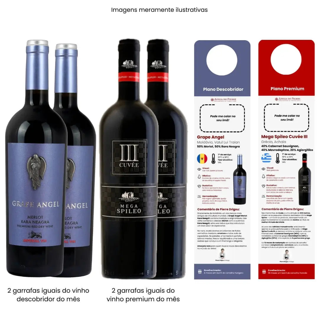Assinatura Duo 4 Garrafas Tinto