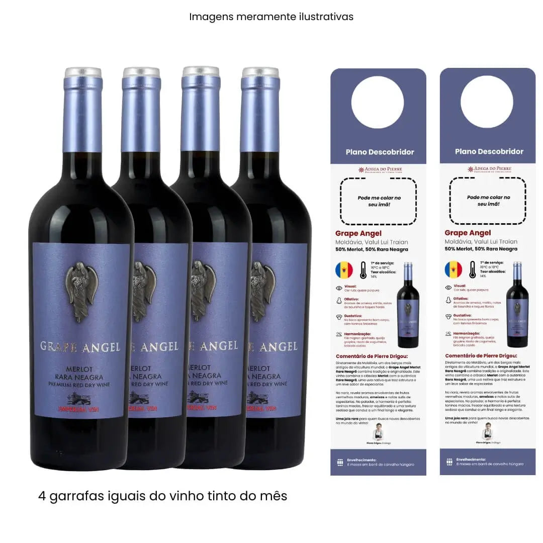 Assinatura Descobridor 4 Garrafas Tinto