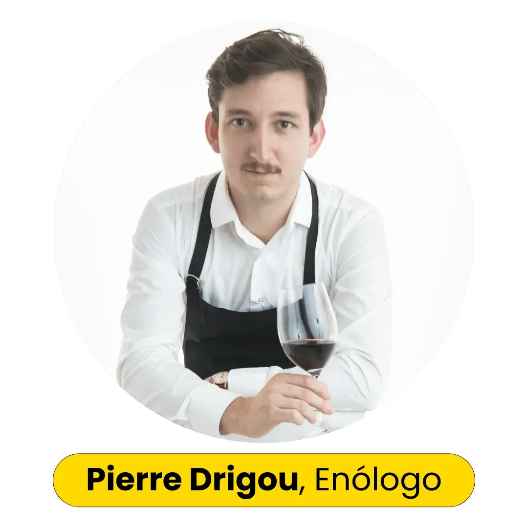 photo pierre drigou
